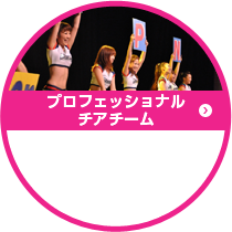 プロフェッショナルチアチーム
