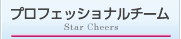 プロフェッショナルチーム