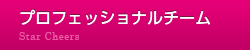 プロフェッショナルチーム